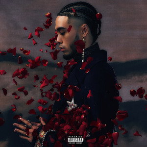 91成人免费视频观看
