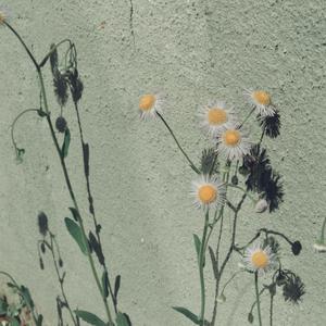 91成人免费视频观看
