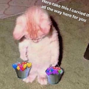 91成人免费视频观看
